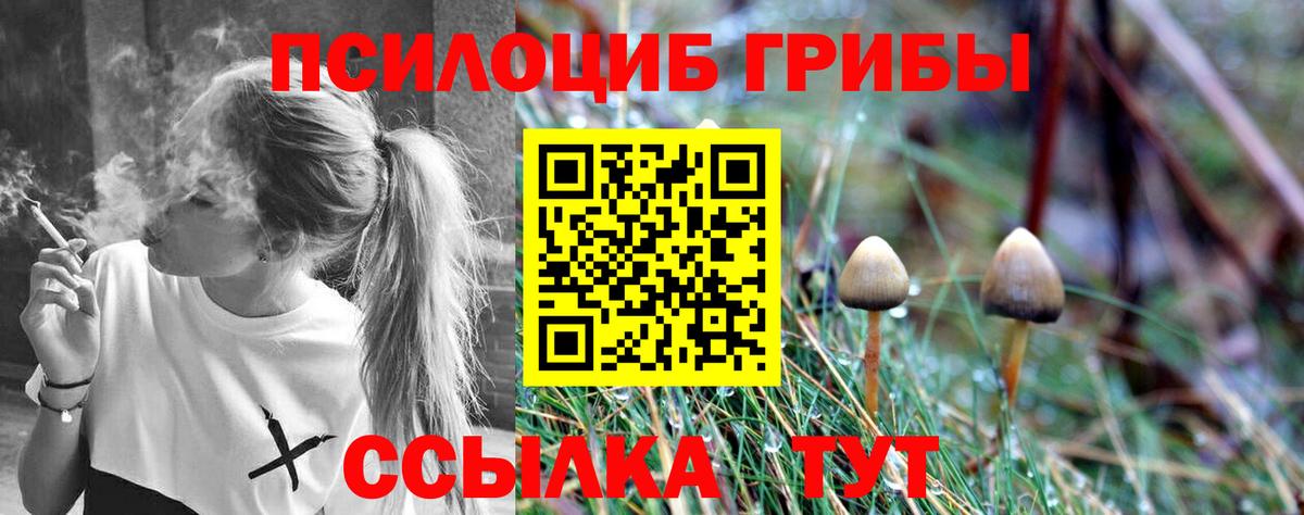 Ржев  Псилоцибиновые грибы Magic Shrooms  Вход с VPN  Псилоцибиновые грибы прущие грибы 